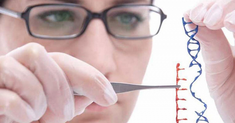 Генами человека будут управлять для лечения диабета и не только: эксперимент на мышах прошёл успешно